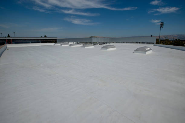 Best Rubber Roofing (EPDM, TPO)  in Memphis, MI